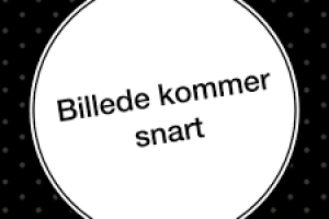 Køretøjs Projektør